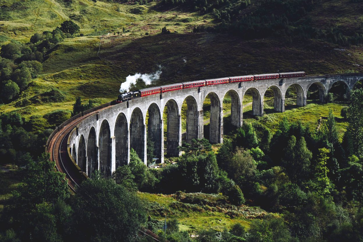 a train making its way along a raised bridge in the forrest