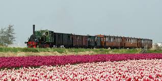 spring train