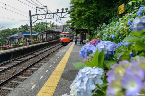 summer train