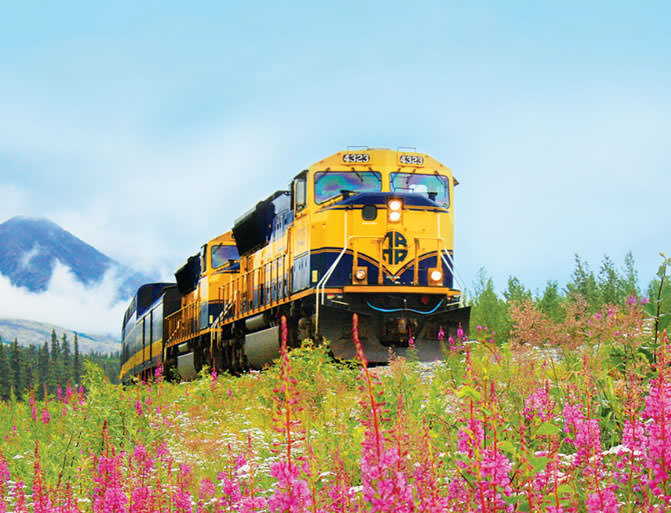 summer train